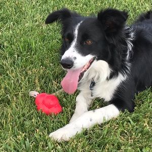 Meet your Posher, Penny